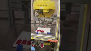 FANUC M-1iA - Key Chain Dispensing Robot