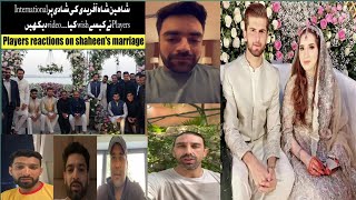 Shaheen Shah Afridi Marriage - Players Reactions| haris rauf samit patel rashid khan s.raza fakhar.z