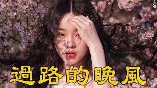 海來阿木 - 過路的晚風『我想問問天上的月亮你是否擁有哀愁 是否掏心掏肺對誰你都毫無保留』【動態歌詞】