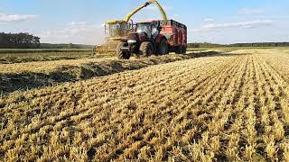 Koszenie oraz zbiór żyta sieczkarnią 😎💪 2x Case Puma/ New Holland/ John Deere 😎