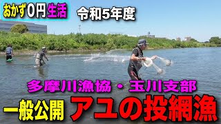 【多摩川漁協】玉川支部2023恒例の一般公開「アユの投網漁」