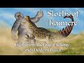 Sloths of Kaimere: Evolution, Biology, Ecology, and Modern Taxa