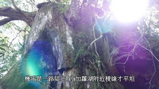 加羅湖單攻 2水源處到19號路標