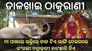 ଠାକୁରାଣୀ ଙ୍କ ପାଖରେ ଭକ୍ତିରେ ଡାଳ ଟିଏ ଦେଲେ ବନ୍ୟ ଜୀବଜନ୍ତୁ ରାସ୍ତା ଛାଡି ଦିଅନ୍ତି।@biswanathpanigrahiofficial