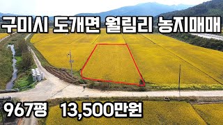 #263 구미시 도개면 월림리 농지매매 967평, 매매가 13,500만원(평당14만원,협의가능!) 농지원부용 추천!