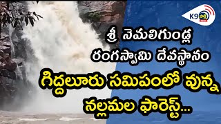 శ్రీ నెమలిగుండ్ల రంగ స్వామి దేవస్థానంగిద్దలూరు సమిపంలో వున్న నల్లమల ఫారెస్ట్...