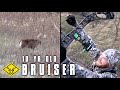 10yr. old Bruiser Buck | CRP + Does = Big Buck Down!