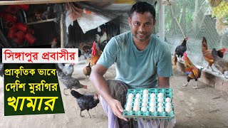 সিঙ্গাপুর প্রবাসীর প্রাকৃতিক পদ্ধতিতে দেশি মুরগি খামার | Desi murgi farm | Desi murgi farming in bd