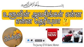 உளுவின் அவசிங்கள் || சட்டம் || இஸ்லாம் || The Journey of Al islamic Women