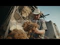 jose cuervo agave straw process