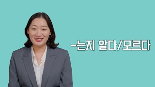 초급 문법 /  