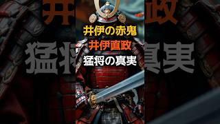 井伊の赤鬼　井伊直政　猛将の真実　#井伊直政#戦国武将#戦国時代#戦国ミステリー#赤備え