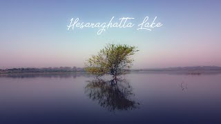 The Beauty of Hesaraghatta Lake | A Must Go Place This Winter | Explore Bangalore