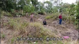 梁爱不入俗眼山水风光，昭平离乡状元家山狮子跳楼台美景