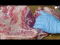 How To Butcher An Entire Cow Every Cut Of Meat Explained | Bon Appetit