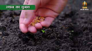 Types of Vegetable Cultivation | सब्जियों की खेती के प्रकार |  सब्जी उत्पादन | Vegetable Farming