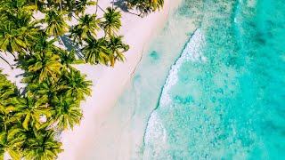Caribbean Beach Ambience with Relaxing Bossa Nova Cafe Music & Ocean Waves Sounds for Stress Relief