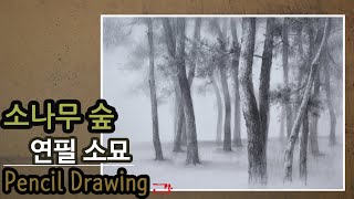 소나무 숲 그리기 [연필 소묘]/ How to draw pinery in Korea pencil drawing / 연필 드로잉