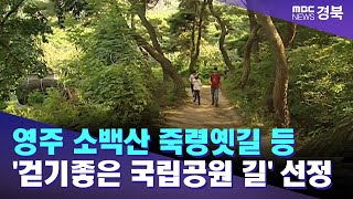 영주 소백산 죽령옛길 등 7곳 '가을철 걷기좋은 국립공원 길' 선정 / 안동MBC