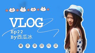 vlog22 | 南法旅游day2 | 普罗旺斯薰衣草田 | 圣十字湖上划船