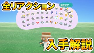 【あつ森】リアクション44種類の入手方法を紹介！何系の住人から貰えるか解説【あつまれどうぶつの森】