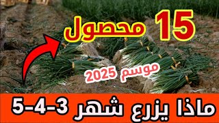 ماذا يزرع شهر مارس أبريل ماي شهر 3 - 4 - 5 أهم 15 صنف من المحاصيل