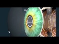 Eye Animation