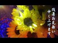 残暑見舞い動画♥14b♥残暑お見舞い申し上げます ♥残暑見舞い動画♥暑中見舞いメッセージカード♥暑中見舞いメッセージ動画♥ひまわり