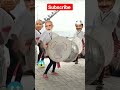 just for fun 😜 modiji viral yogiji kejriwal