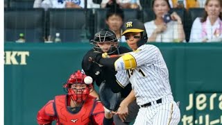 阪神　森下翔太に２試合連続の死球　甲子園のスタンドがざわつく　島内の抜けたストレートが右肘付近に直撃　打線奮起しサヨナラ勝ち！