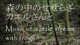 森の中のせせらぎ３（かえるさんと）｜睡眠・集中・リラックス・自然音｜Water Sounds for Sleep/Focus/Relax/Study with frogs｜