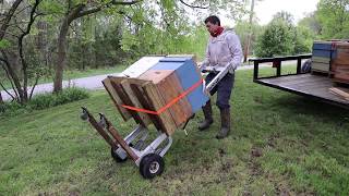 🔵Moving honeybees on a small scale.