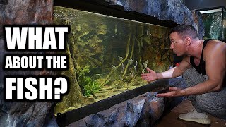 What will happen to the fish and aquariums?