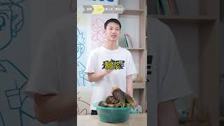 补档🔍你相信吗？毫不夸张，竹笋造的纸，炸完真的和虾片一样脆！你们猜味道怎么样？