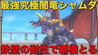 【テリワンSP 実況】最強の究極闇竜シャムダ！鉄壁の耐性で覇権とる【スマホ版 DQMテリーのワンダーランドSP】