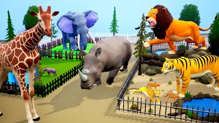 Zoo Diorama - Wild Animals House | Elephant, Lion, Tiger, Rhino and Giraffe | 3D Diorama Animation
