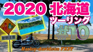 2020北海道ツーリング #10 　11日目 【ハーレーダビッドソン】【モトブログ】2003 Harley Davidson Softail Standard FXST