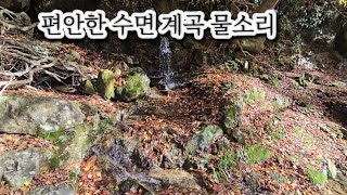 마음까지 시원해지는 계곡물소리 ASMR