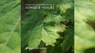 Psychill   Microcosmos Flashbacks Vol  2 Songs \u0026 Voices