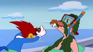 Woody Woodpecker s01e104