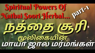 நத்தைசூரி மூலிகையின் ரகசியங்கள் மாயாஜால மர்மங்கள் spiritual powers of/Naththaisoori/youtube/intamil