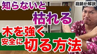 太い枝を切ったり大きさを変える場合には作業日を複数取ると安全に作業ができる話【庭師が解説】CODIT論で解説