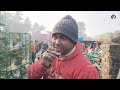 uluberia pet market bird s prices update 11th january part 2 uluberia_pet_market cheapestprice