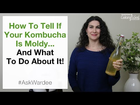 How To Tell If Your Kombucha Is Moldy... And What To Do About It! | #AskWardee 103 How To Tell If Your Kombucha Is Moldy... And What To Do About It! | #AskWardee 103