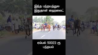 பதனக்குடியா புதுப்பட்டியா கடைசி நொடி வேறமாரி