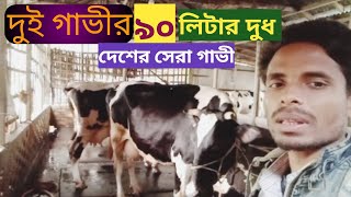 দেশের সেরা গাভী|উন্নত জাতের ফ্রিজিয়ান দুধের গরুর খামার|the best cow in the country#bigcow#hfcow