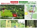 面關廟森林公園 甲建 休閒農地