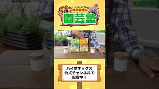 【園芸の基本】公式が教える！マグァンプK徹底解説〜中粒と大粒どっちを使う？〜【園芸塾】【ハイポネックス】#Shorts