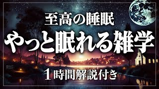 【睡眠導入/作業用】脳まで眠る思考の睡眠を。寝ながら賢くなる日常生活100の雑学1時間 ストレス緩和、疲労回復【BGMなし】【男性朗読】