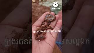 ត្បូងធម្មជាតិរតនគិរីHT46